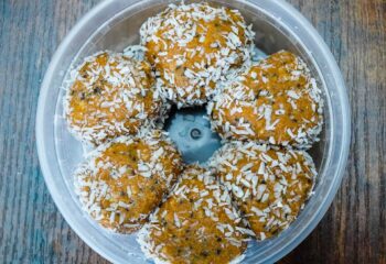 Peanut Butter Protein Balls w/ Coconut GF